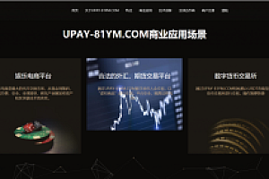 最新upay数字火币支付,USDT支付/数字货币承兑系统/支持ERC20 OMNI/代理商/第三方支付接口