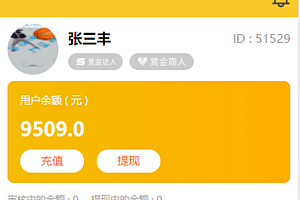 十月最新悬赏猫任务平台破解去授权版用户自主发布任务+接免签支付信用分评分机制网站源码+可打包app
