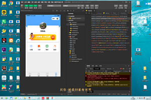 小说小程序-网友亲测