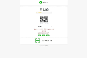AppPay个人免签支付系统/微信免签支付/码支付系统源码
