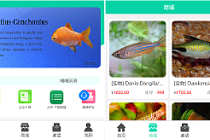 嘎嘎亲测–养鱼金融投资理财源码 支持商城 抽奖 投资收益余额宝等! 双语言支持中英文