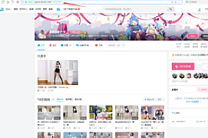 嘎嘎亲测–B站UP主实时信息获取展示php源码