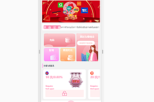 嘎嘎亲测–最新版基于TP开发的9国语言海外多语言刷单抢单源码+9色前端UI