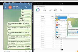 嘎嘎亲测–假TG假飞机2.0中文版 篡改钱包地址 支持篡改三链 带搭建视频教程