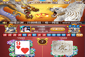 嘎嘎亲测–20240624测试龙虎斗H5游戏已对接小生支付